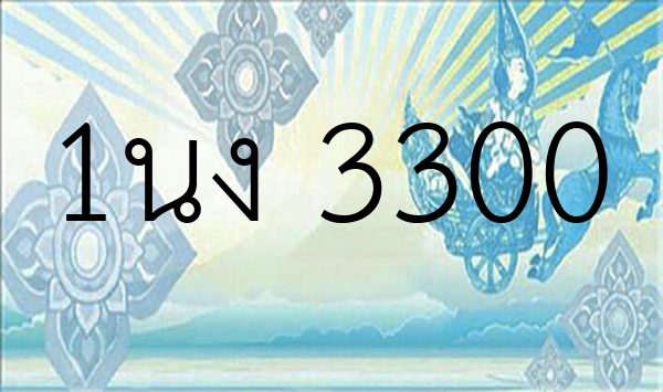 1นง 3300